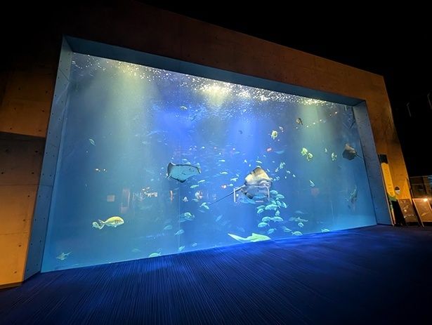 綿津見の景は、650平方メートルの水槽で表現されている