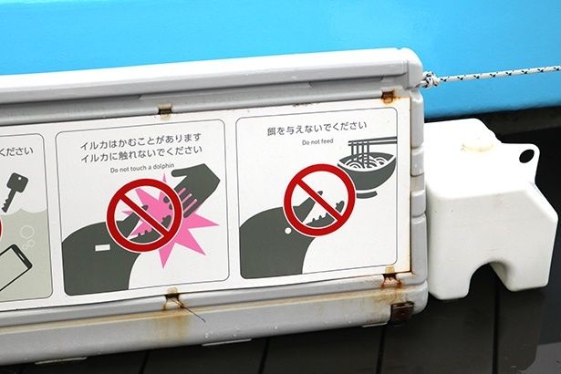 注意掲示もユニーク。イルカとの距離が近いが、さわらずに見守って