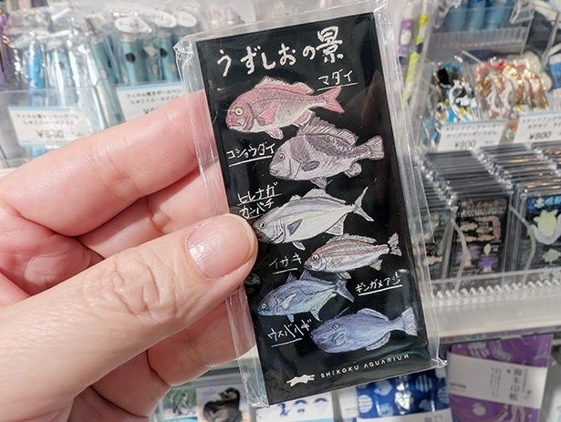 飼育スタッフ手書きの黒板解説のマグネット「黒板マグネット」(660円)