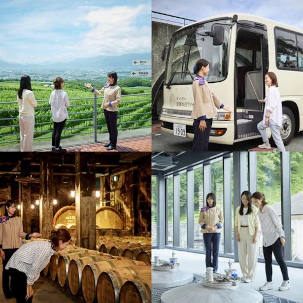 定番のFROM FARM登美の丘ワイナリーツアーは、水曜日以外毎日実施されている