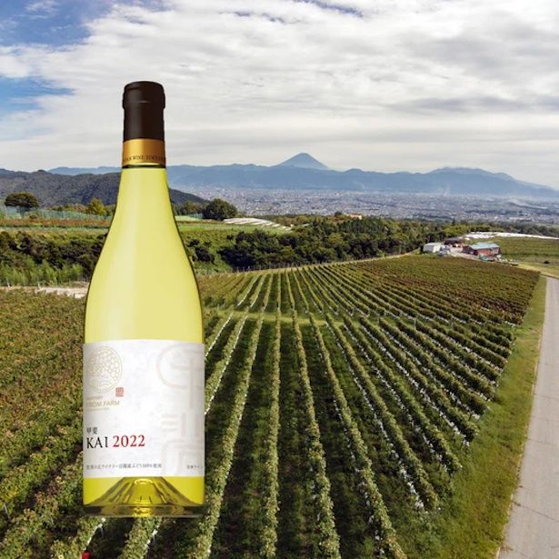 テイスティングワイン：甲斐 白 2022