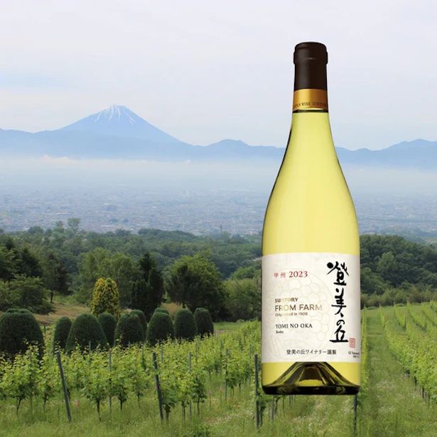 テイスティングワイン：登美の丘 甲州 2023