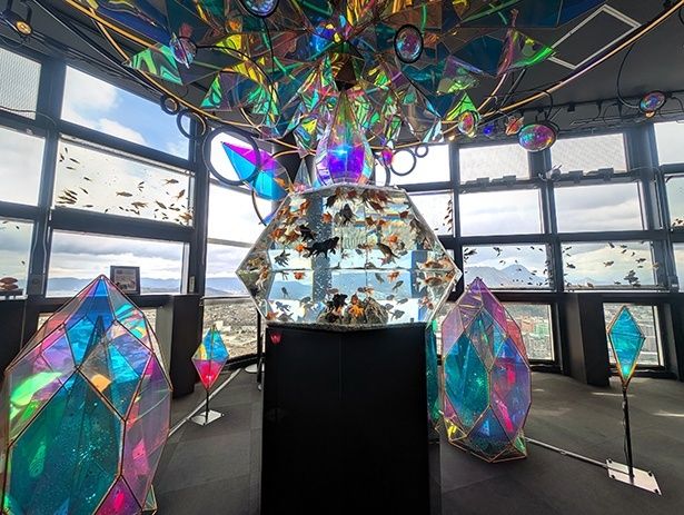 「煌めきシンボリック水槽(セイメイノタンジョウ)」