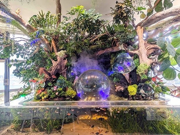 「潤いシンボリック水槽(地球からの贈り物)」