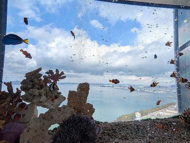 世界各地の熱帯魚が瀬戸内の空を優雅に泳ぐ