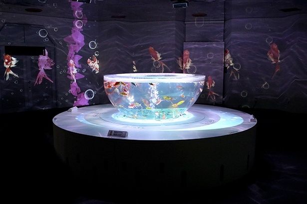 エレベーターホールでは金魚と映像の演出が出迎えてくれる