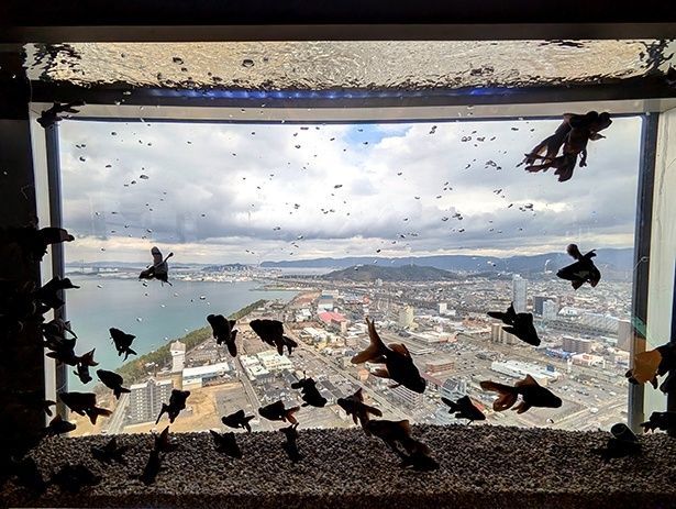 色柄や模様はもちろん、シルエットの美しさにも注目