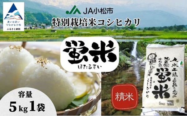 石川県小松市のふるさと納税に令和7年産「小松のお米」が数量限定“応援価格”で登場