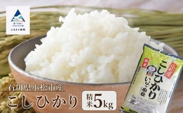 石川県小松市のふるさと納税に令和7年産「小松のお米」が数量限定“応援価格”で登場