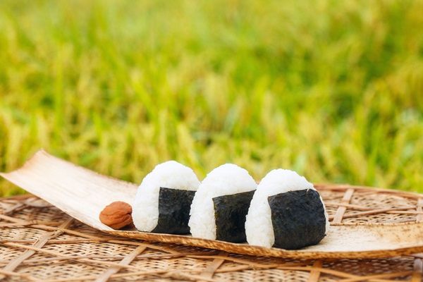 石川県小松市のふるさと納税に令和7年産「小松のお米」が数量限定“応援価格”で登場