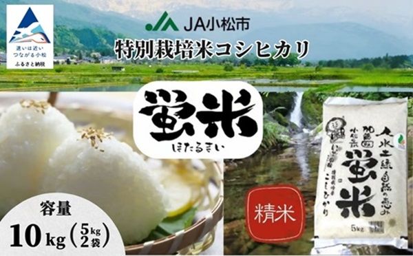 石川県小松市のふるさと納税に令和7年産「小松のお米」が数量限定“応援価格”で登場