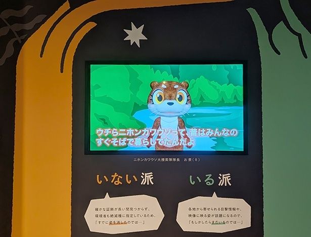 大捜索隊の隊⾧・ニホンカワウソのお景(おきょう)。ニホンカワウソが“いる”か“いない”か、問いかけてくる