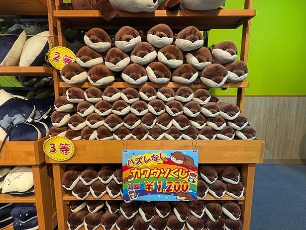 ハズレなしのカワウソくじ