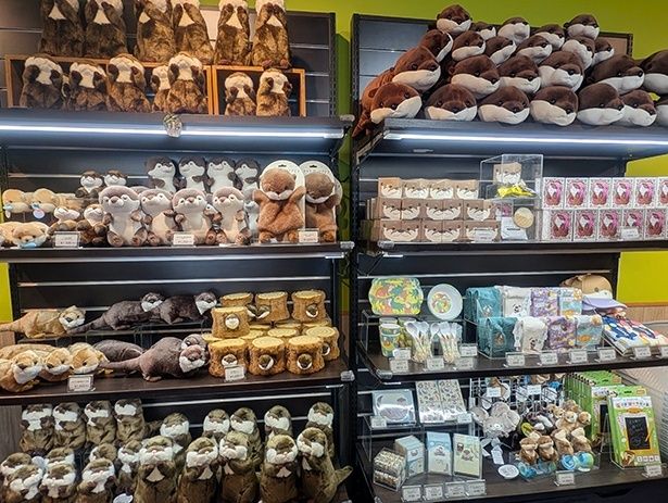 「カワウソショップ おった」。四国の方言「おった！(いた！)」と、カワウソを意味する英語の「otter」をかけている