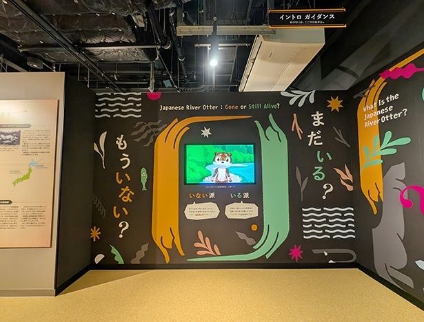 特別展「ニホンカワウソ大捜索隊司令部」イントロ ガイダンス