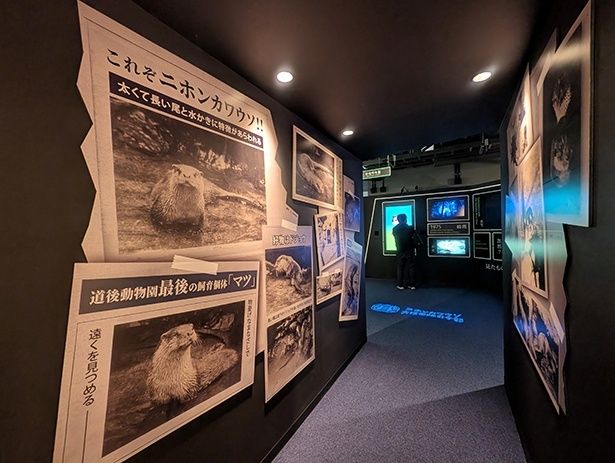 作戦指令室へ通じるトンネルの壁面と天井には、当時の新聞記事風のコラージュが。中には、最後の飼育個体マツの姿も