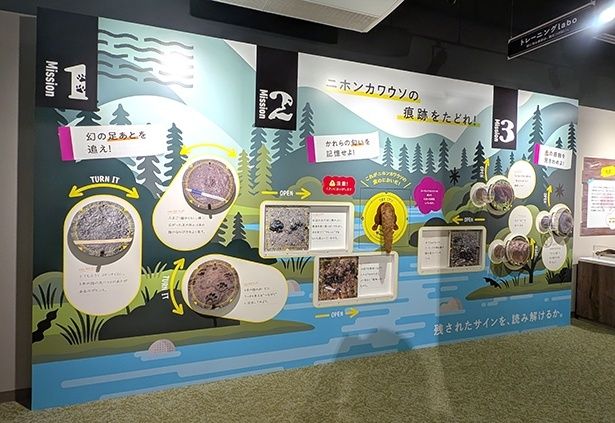 トレーニングlabo