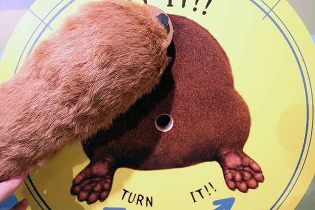 どんなにおいがするのか……しっぽをずらして、おしりの穴をイメージした穴から嗅いでみよう