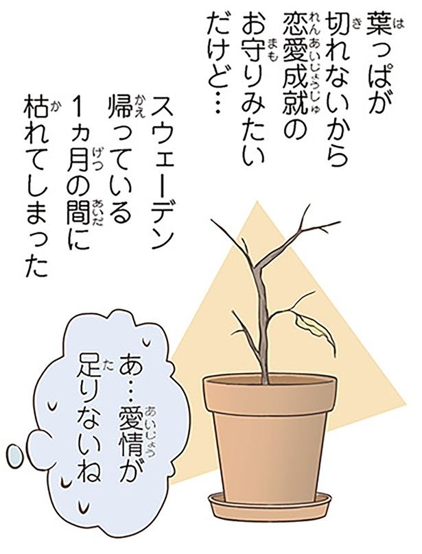 恋愛成就のお守りみたいだけど… （C）オーサ・イェークストロム／KADOKAWA