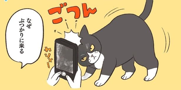 なぜぶつかりに来る （C）ふじもりはる／KADOKAWA