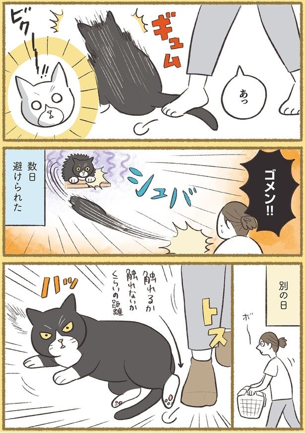 ゴメン！！ （C）ふじもりはる／KADOKAWA