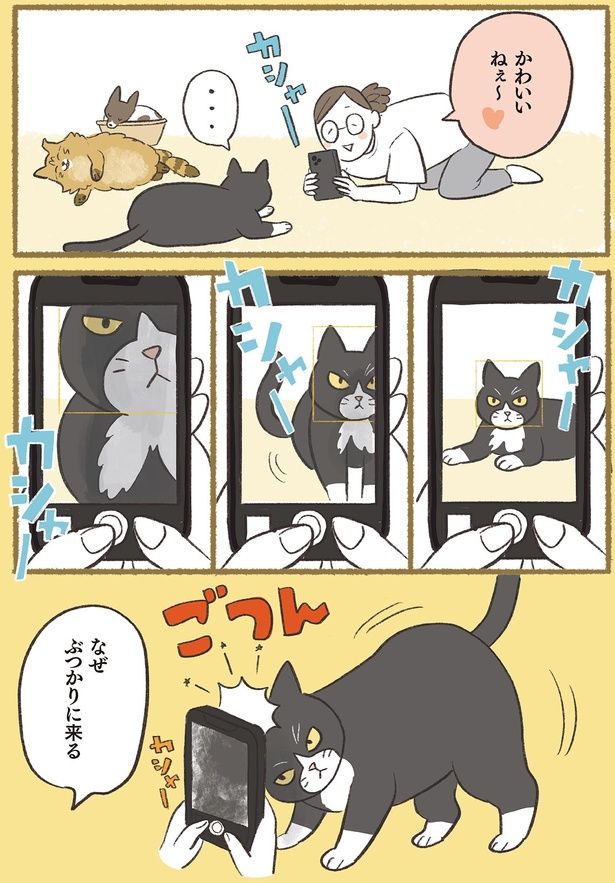 かわいいねぇ～ （C）ふじもりはる／KADOKAWA