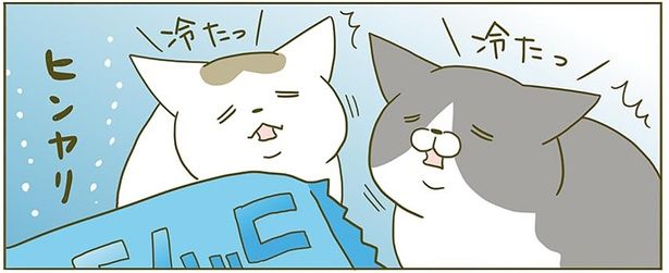 ヒンヤリ （C）卵山玉子／KADOKAWA