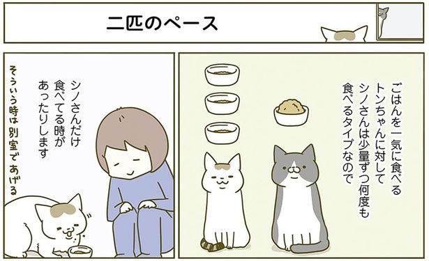 二匹のペース （C）卵山玉子／KADOKAWA