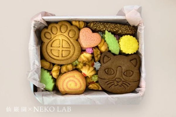 【鹿児島県鹿児島市】「NEKO LAB」と仙巌園がコラボ！「ネコづくしの幸せいっぱいクッキー缶」発売