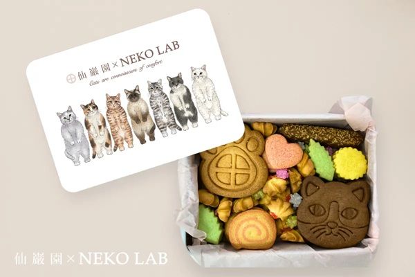 【鹿児島県鹿児島市】「NEKO LAB」と仙巌園がコラボ！「ネコづくしの幸せいっぱいクッキー缶」発売