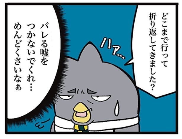 画像提供：ザバックさん