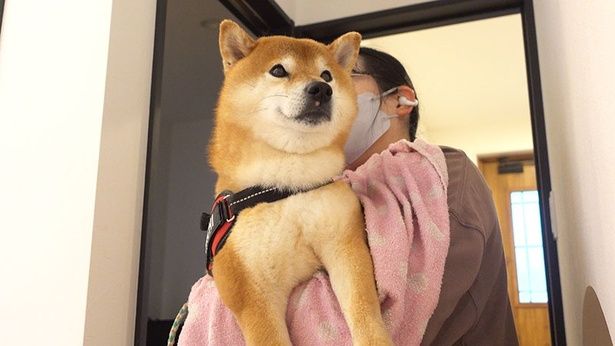 ママさんに抱えられて病院へ