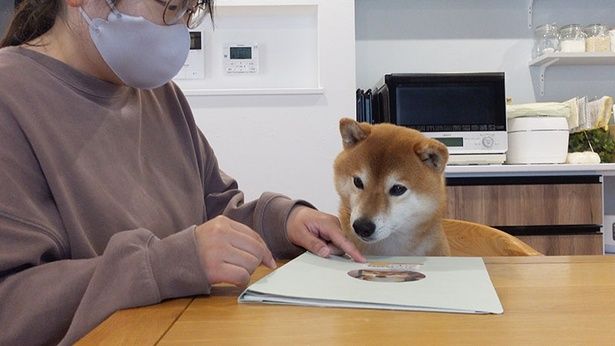 健康診断の結果をママさんと一緒にチェック