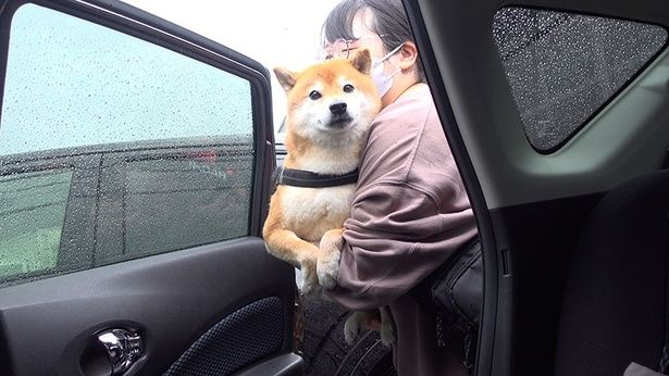 順番が来て、いざ病院へ