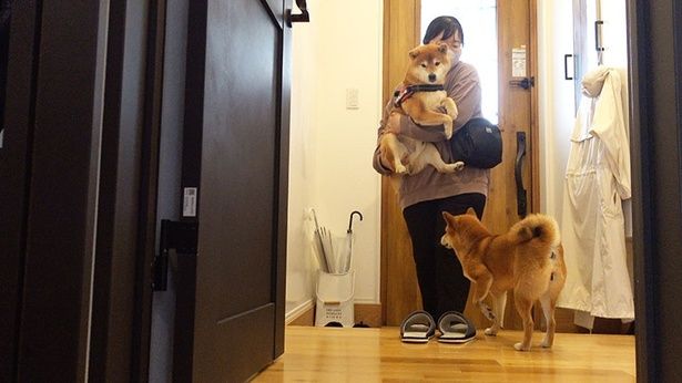 おうちに帰ってきて、ほっとひと安心