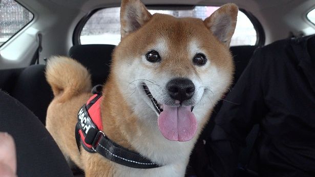 病院が終わって、にっこり笑顔！