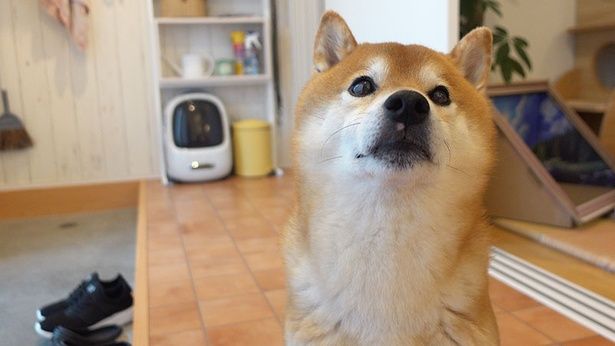 今日は年に一度の健康診断