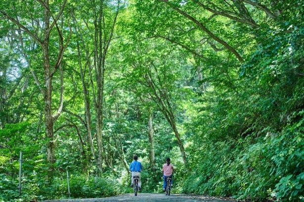 木漏れ日の中をサイクリング