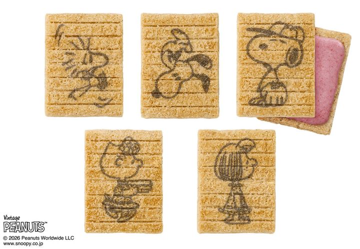 お菓子の絵柄は5種類