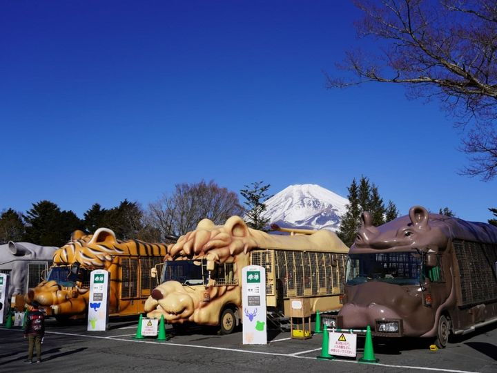 All About ニュース編集部が全国250人を対象に実施した「旅行先に関するアンケート」の調査結果から、春に行きたいと思う「静岡県の旅行先」ランキングを発表！ 2位「富士サファリパーク」を抑えた1位は？