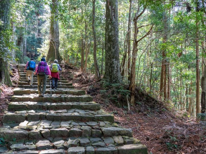 All About ニュース編集部が全国250人を対象に実施した「旅行先に関するアンケート」の調査結果から、春に行きたいと思う「和歌山県の旅行先」ランキングを発表！ 2位「熊野古道」を抑えた1位は？