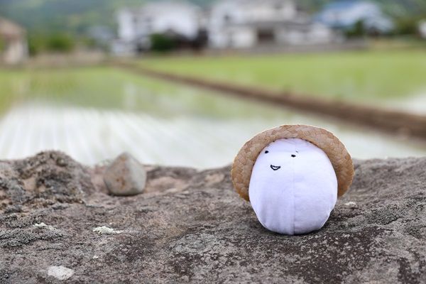 【長野県佐久市】農薬不使用の“生きもの田んぼ”で手作業での田植え体験！収穫後に1kgのお米が届く