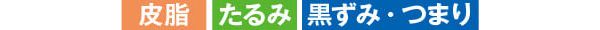 皮脂 たるみ 黒ずみ・つまり