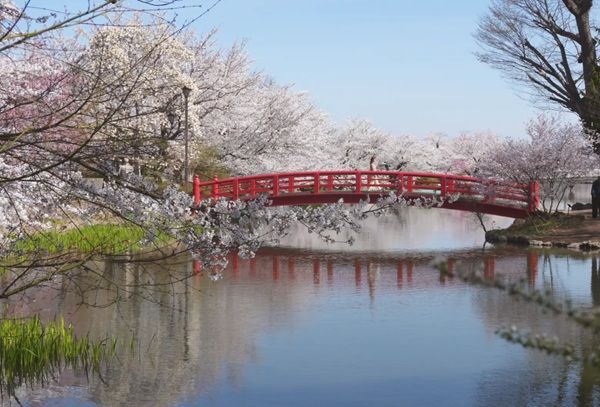 【長野県須坂市】八幡屋礒五郎が、長野県須坂市をテーマにした「須坂缶」をイオンモール須坂店で発売