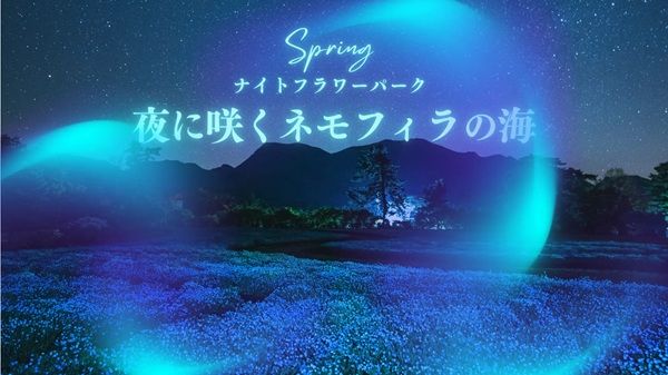 【大分県竹田市】くじゅう花公園が春の夜間特別営業として、ネモフィラが主役のイベントを開催！