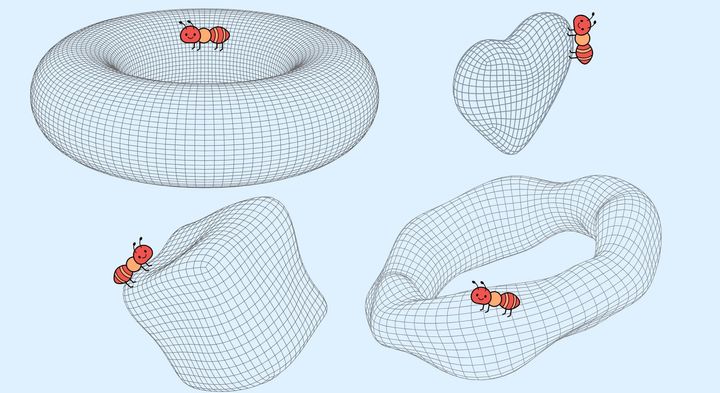 理論的にはいるはずの「双子」がみつからない