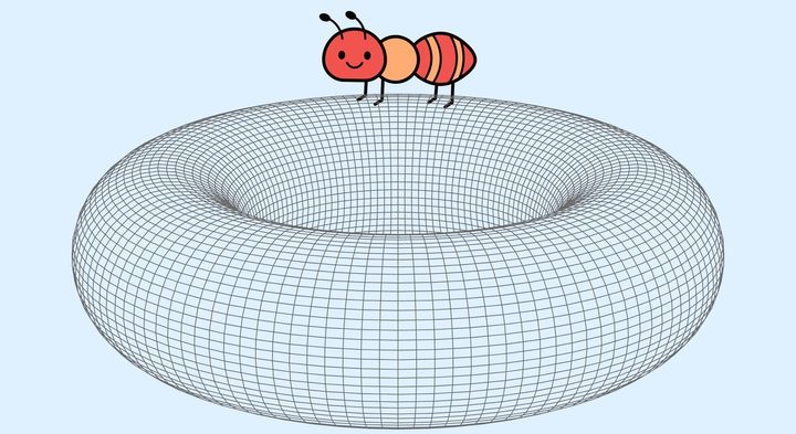アリは自分が乗っている形を知ることができるのか