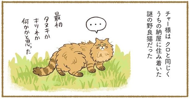 謎の野良猫だった （C）ふじもりはる／KADOKAWA