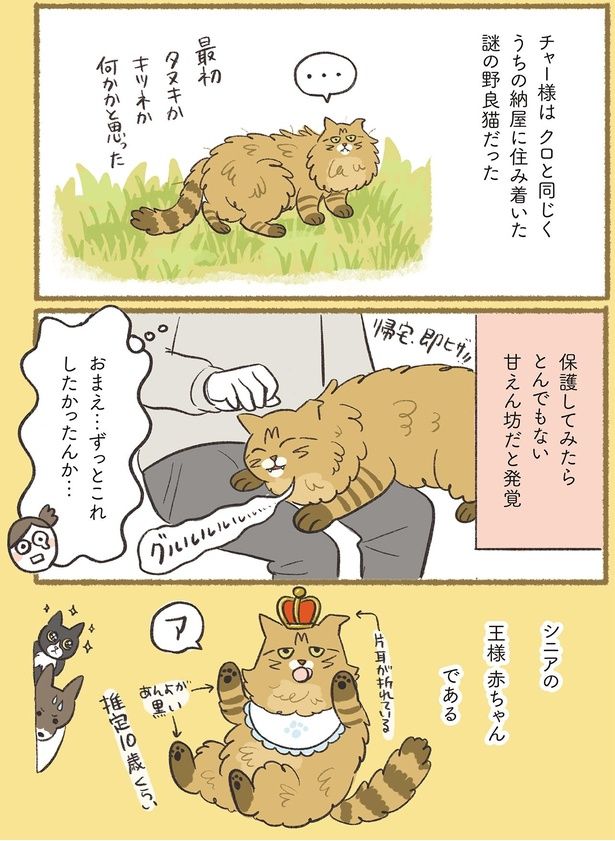 おまえ…ずっとこれしたかったんか… （C）ふじもりはる／KADOKAWA