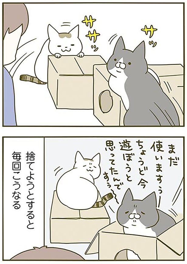 捨てようとすると （C）卵山玉子／KADOKAWA